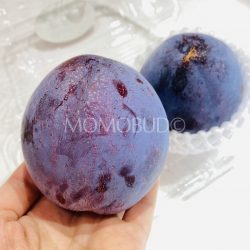 Japanese Taiyo Plum