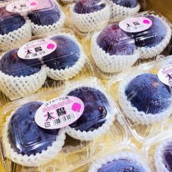 Japanese Taiyo Plum 340g packs