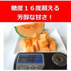 Lenon Red Melon 16 degree sugar level