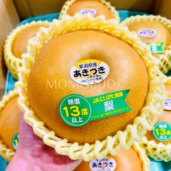 Japanese Akizuki Pear (13 brix sweetness)