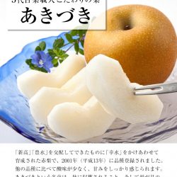 Japanese Akizuki Pear
