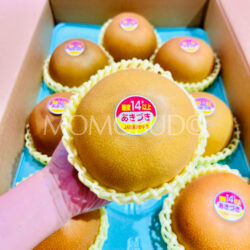 Japanese Premium Grade Akizuki Pear (14% Brix High Sweetness) Japanese Premium Grade Akizuki Pear (14% Brix High Sweetness)