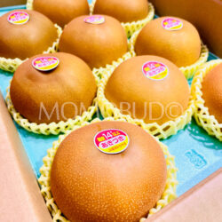 Japanese Premium Grade Akizuki Pears (14% Brix High Sweetness) Japanese Premium Grade Akizuki Pears (14% Brix High Sweetness)