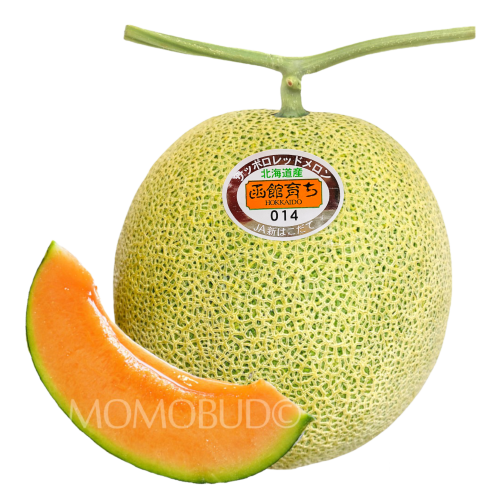 Japanese Sapporo Red Muskmelon