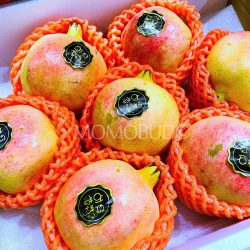 China Tunisian Soft Seed Pomegranate Red Box