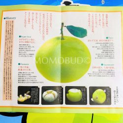 Japanese House Suishou Buntan Brochure