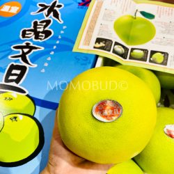 Japanese House Suishou Buntans