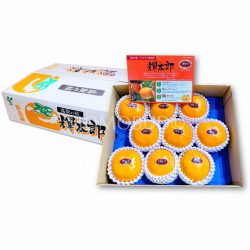 Japanese Kitaro Persimmon 5kg Box