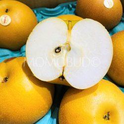 Japanese Oita Hita Akizuki Pear cross section