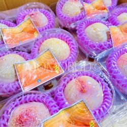 Japanese Shinano Pearl Plums 1 Japanese Shinano Pearl Plums 1