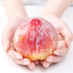 Shinano Pearl Plum in hand Shinano Pearl Plum in hand