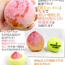 Shinano Pearl Plum size and weight Shinano Pearl Plum size and weight