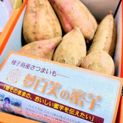 Yume Hyaku Syou Annou Satsumaiimo (Sweet Potato) Box