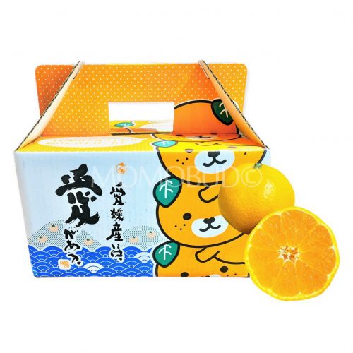 Ehime Mican Mikan 2.5kg Gift Box wa