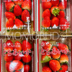 Japanese Kingdom Tochiaika Ichigo (Strawberry, 260g x 4) Japanese Kingdom Tochiaika Ichigo (Strawberry, 260g x 4)