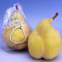 Japanese Le Lectier Pear 1