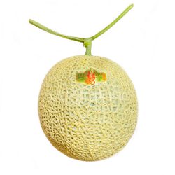 Japanese Nagasaki Arus Red Muskmelon