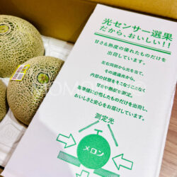 Japanese Otome Green Melon sensor sweetness detection