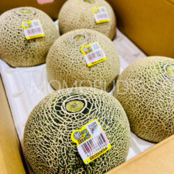Japanese Otome Green Melons