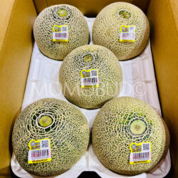 Japanese Otome Green Melons