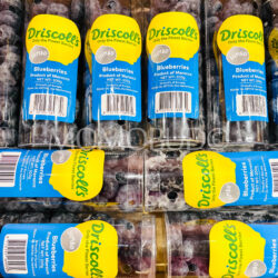 Morocco Driscoll’s Jumbo Blueberry (200g tubs)