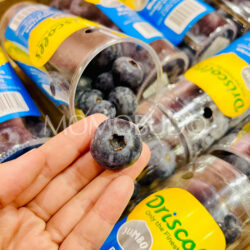 Morocco Driscoll’s Jumbo Blueberry