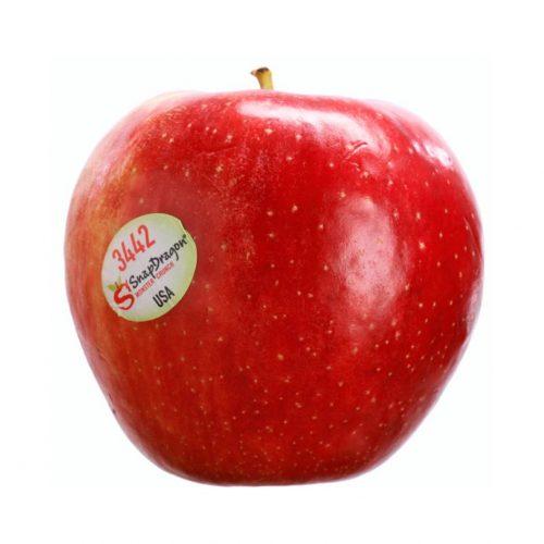 USA Snapdragon Apple