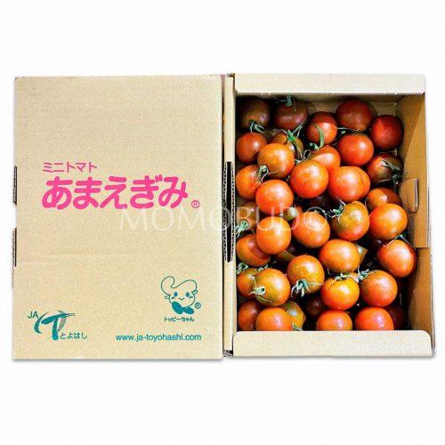 Japanese Amaegimi Chocolate Tomato 1kg gift box