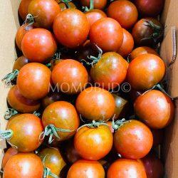 Japanese Amaegimi Chocolate Tomatoes