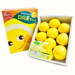 Japanese Hyuganatsu Orange Gift Box 3kg