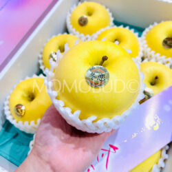 Japanese Iwate Junjo Premium Fuyukoi Apple on hand Japanese Iwate Junjo Premium Fuyukoi Apple on hand