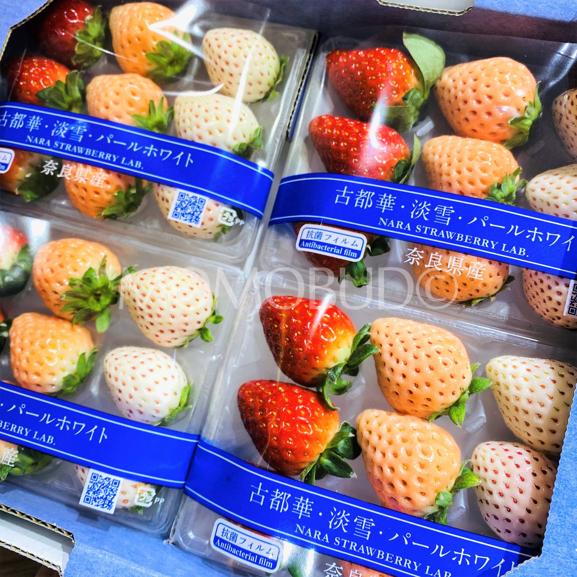 japanese-nara-strawberry-lab-pearl-white-awayuki-kotoka-140g-momobud