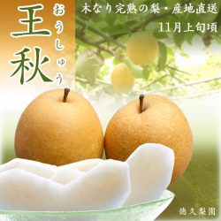 Japanese Oshuu Pear slices