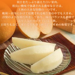 Japanese Oushu Pear