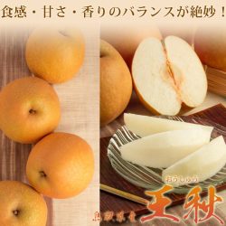 Japanese Oushu Pear