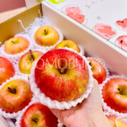 Japanese Yamagata Koutoku Honey Apple Japanese Yamagata Koutoku Honey Apple