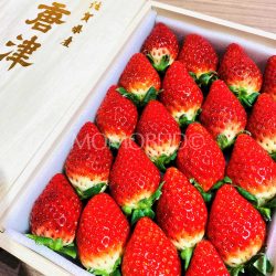 Premium Japanese Ichigosan Strawberry Wooden Gift Box 450g 1