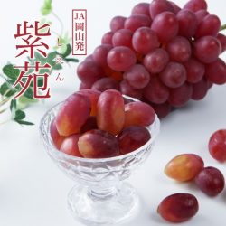 Japanese Shien Red Seedless Grapes