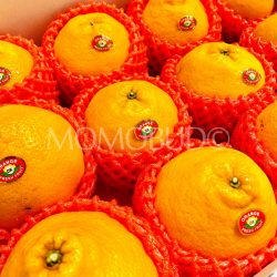 China Chun Jian Ponkan Mandarin Oranges