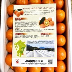 Japanese Miyazaki Akatama House Kinkan brochure back Japanese Miyazaki Akatama House Kinkan brochure back