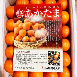 Japanese Miyazaki Akatama House Kinkan brochure front Japanese Miyazaki Akatama House Kinkan brochure front