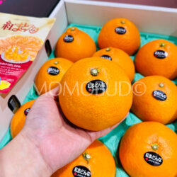 Japanese Premium Black Label Benimadonna Orange Japanese Premium Black Label Benimadonna Orange