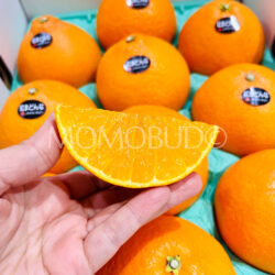 Japanese Premium Black Label Benimadonna Orange slice Japanese Premium Black Label Benimadonna Orange slice