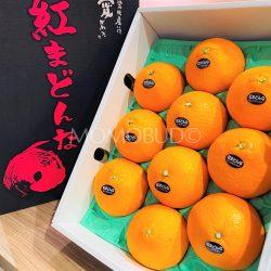 Japanese Premium High Sweetness Benimadonna Orange Gift Box (3kg) 1