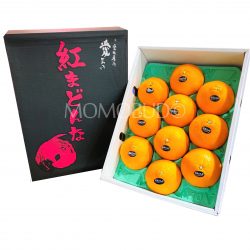 Japanese Premium High Sweetness Benimadonna Orange Gift Box (3kg)