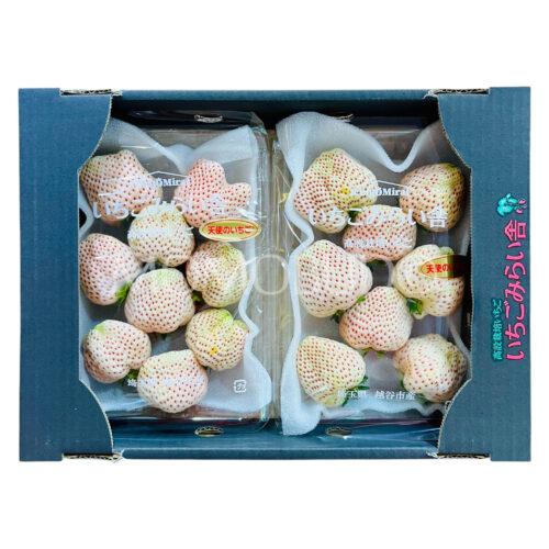 Japanese Saitama Tenshi no Ichigo White Strawberry Tray 280gx2