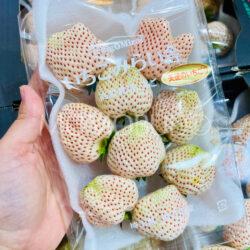 Japanese Saitama Tenshi no Ichigo White Strawberry pack