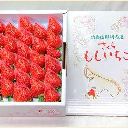 Japanese Sakuramomo Ichigo Gift Box 800g