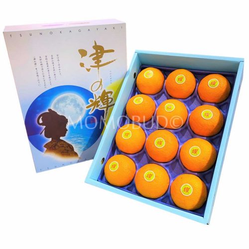 Japanese Tsunokagayaki Orange Gift Box 3kg Japanese Tsunokagayaki Orange Gift Box 3kg
