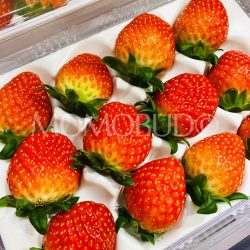 Korean Gumsil Strawberries